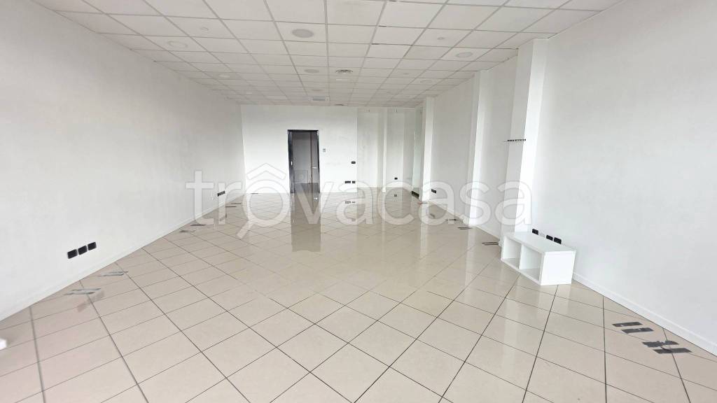 negozio in affitto a Viterbo