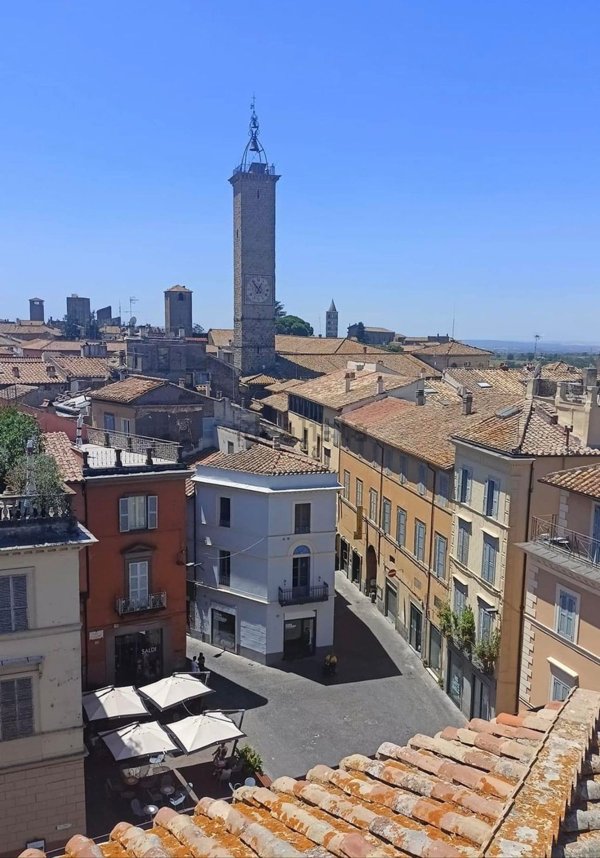 negozio in affitto a Viterbo