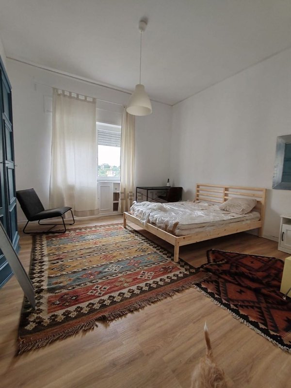 appartamento in affitto a Viterbo