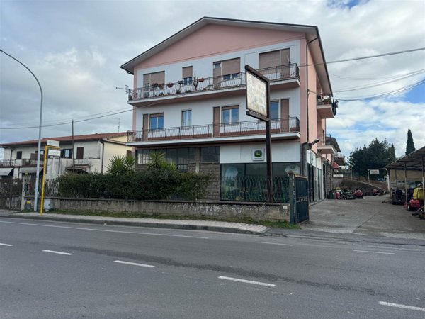 negozio in affitto a Viterbo