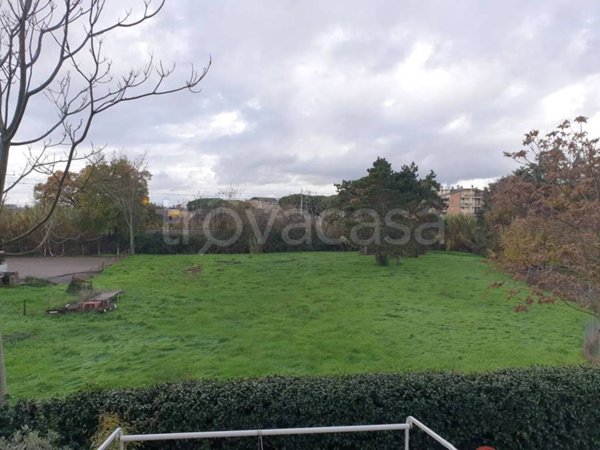 appartamento in affitto a Viterbo in zona Centro Città