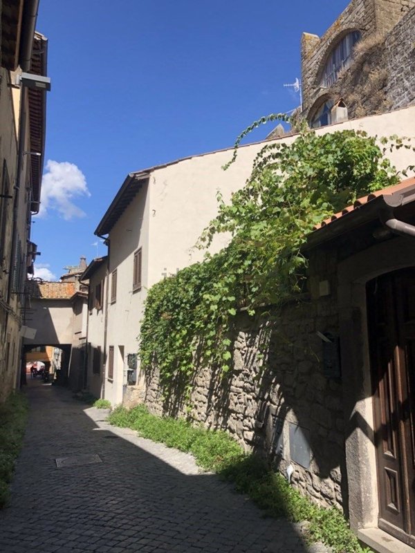 appartamento in affitto a Viterbo in zona Centro Città