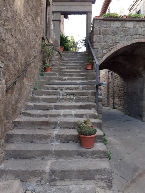 appartamento in affitto a Viterbo