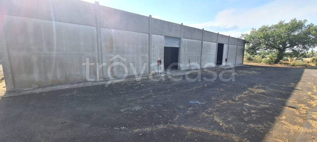 locale commerciale in affitto a Viterbo in zona Castel d'Asso