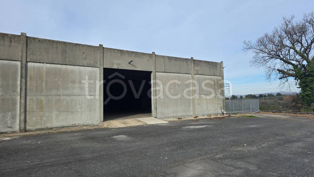 appartamento in affitto a Viterbo in zona Castel d'Asso