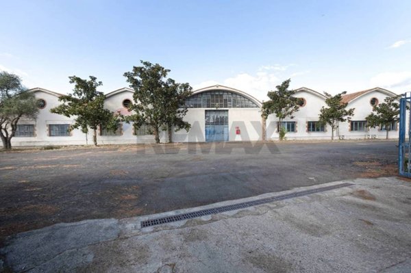 capannone in affitto a Viterbo