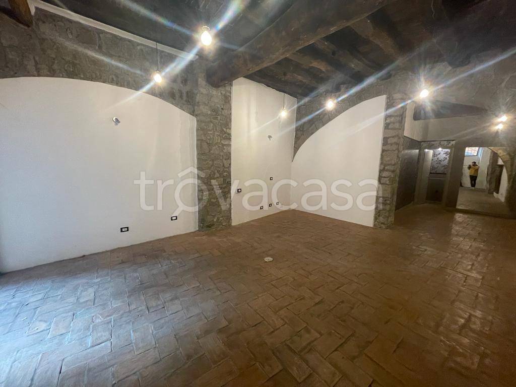 negozio in affitto a Viterbo
