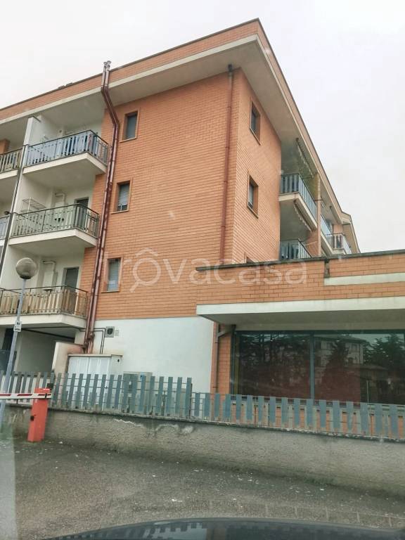 appartamento in affitto a Viterbo