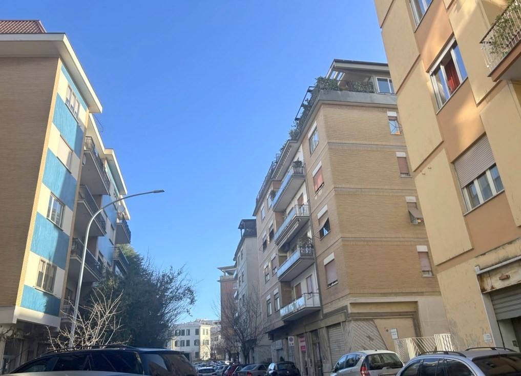 appartamento in affitto a Viterbo