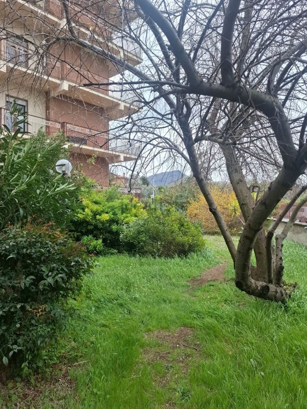 appartamento in affitto a Viterbo