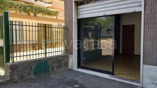 negozio in affitto a Viterbo