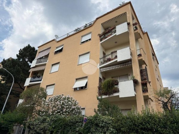 appartamento in affitto a Viterbo