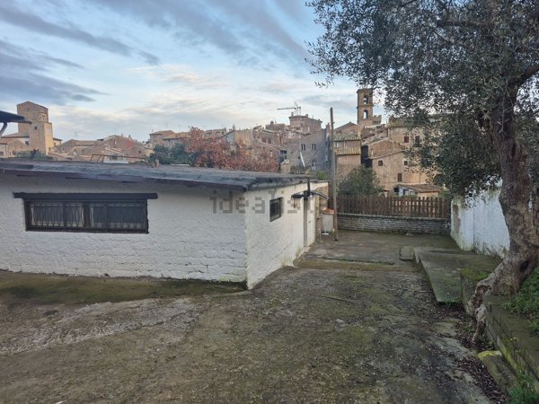 negozio in affitto a Vitorchiano