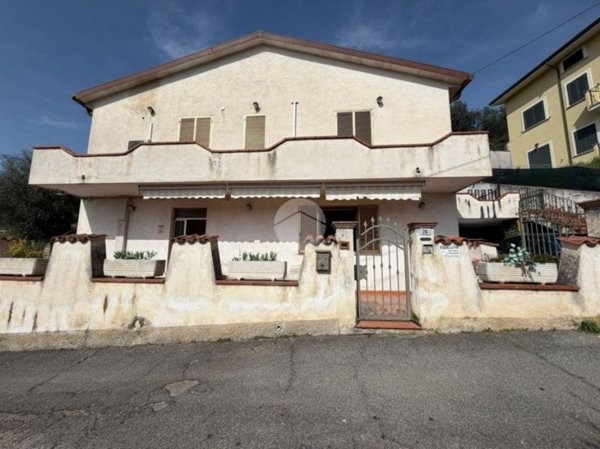 immagine annuncio 0 di 15