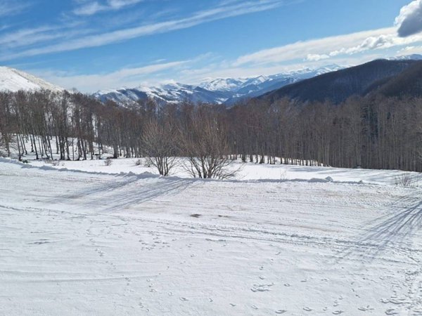 appartamento in affitto a Micigliano