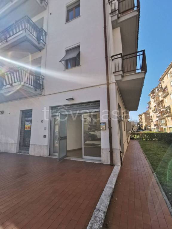 trivano in affitto a Rieti in zona Centro Città