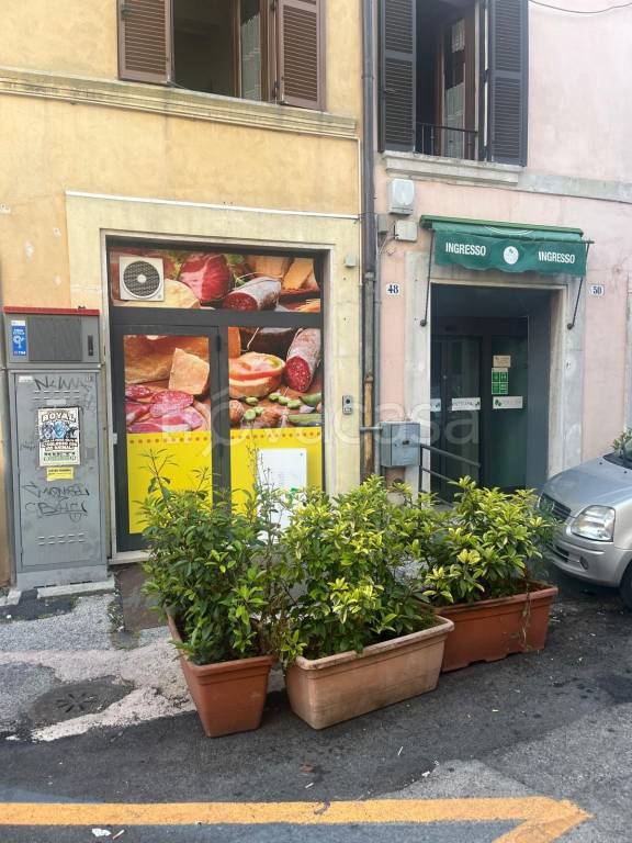 trivano in affitto a Rieti