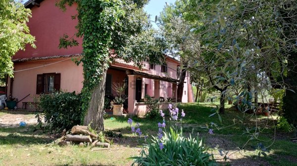 appartamento in affitto a Scandriglia