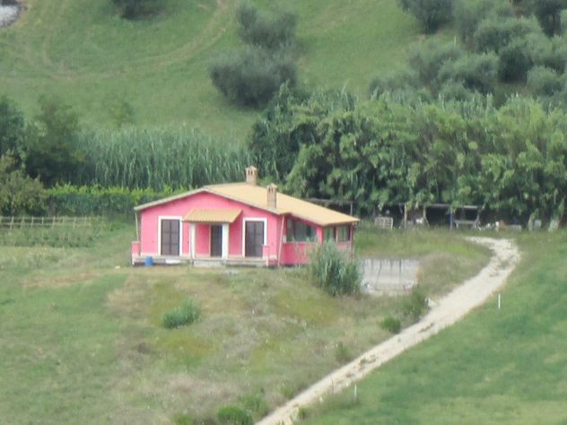 casa indipendente in affitto a Selci