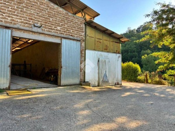 terreno agricolo in affitto a Selci