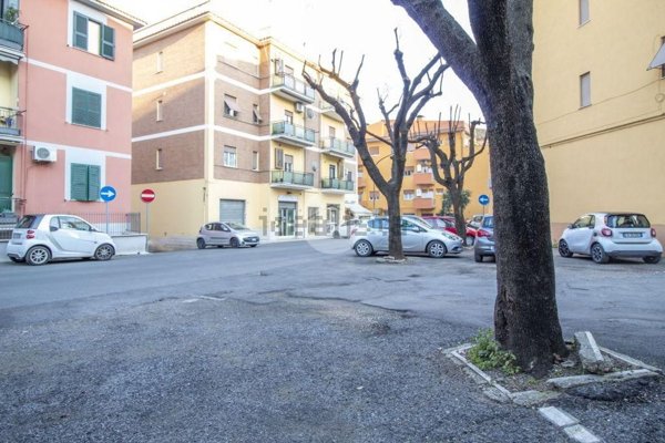 locale commerciale in affitto ad Affile