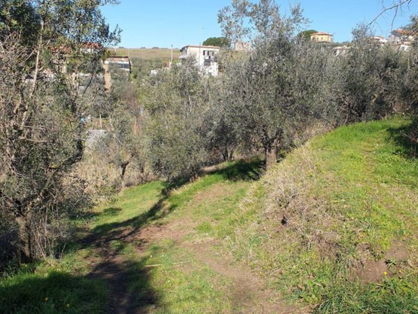 terreno agricolo in affitto ad Albano Laziale in zona Cecchina