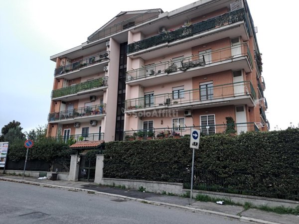 appartamento in affitto ad Albano Laziale