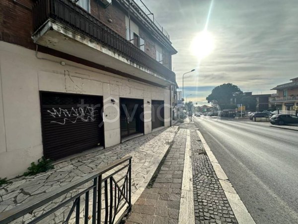 trivano in affitto ad Albano Laziale in zona Cecchina