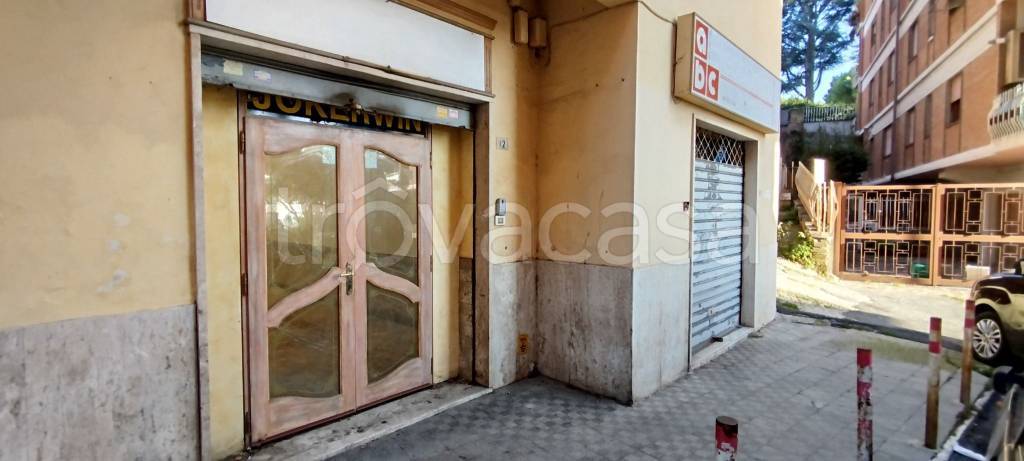 monolocale in affitto ad Albano Laziale