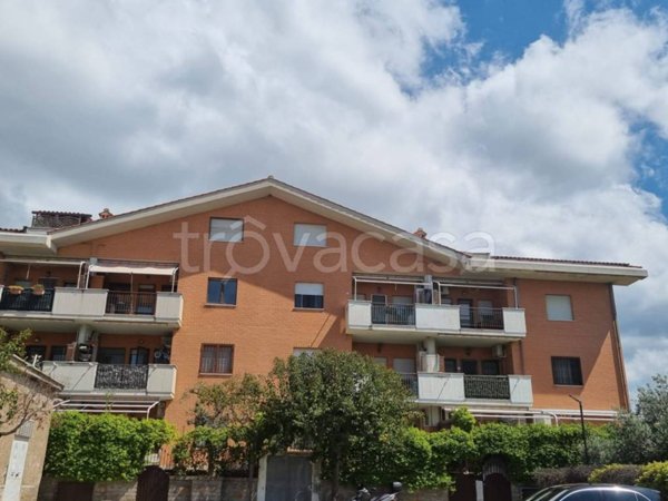 appartamento in affitto ad Albano Laziale in zona Cecchina