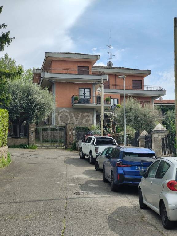 appartamento in affitto ad Albano Laziale