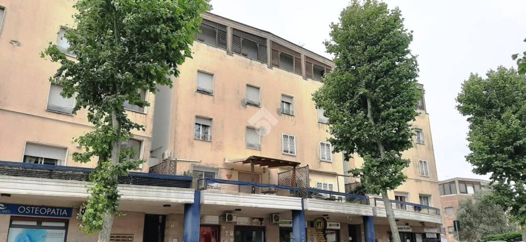 appartamento in affitto ad Albano Laziale