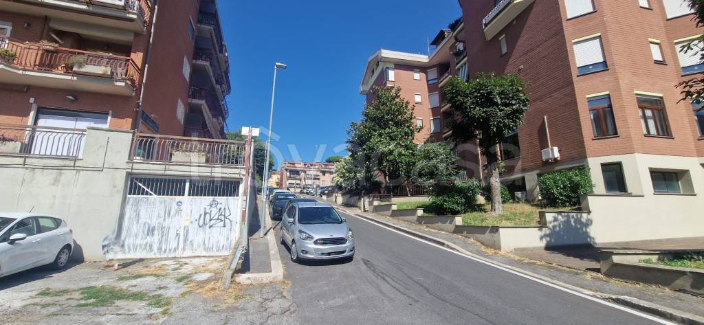 locale commerciale in affitto ad Albano Laziale
