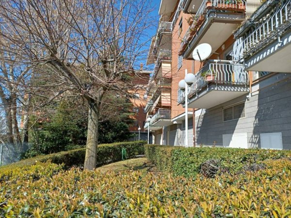 appartamento in affitto ad Albano Laziale