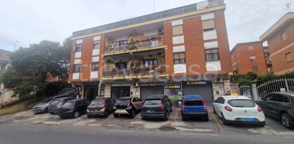 trivano in affitto ad Albano Laziale in zona Cecchina
