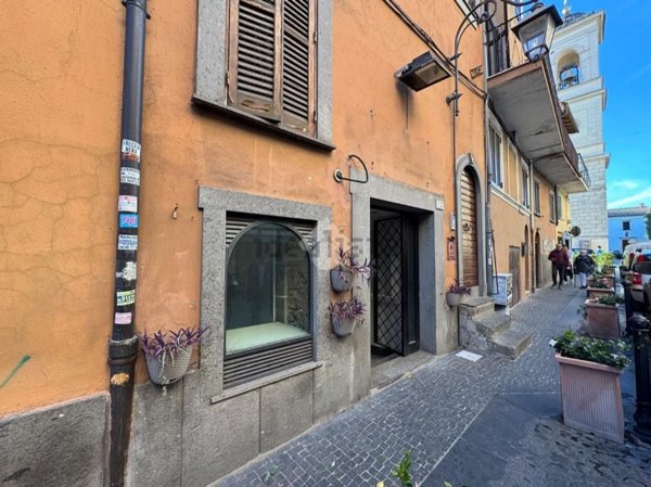locale commerciale in affitto ad Albano Laziale