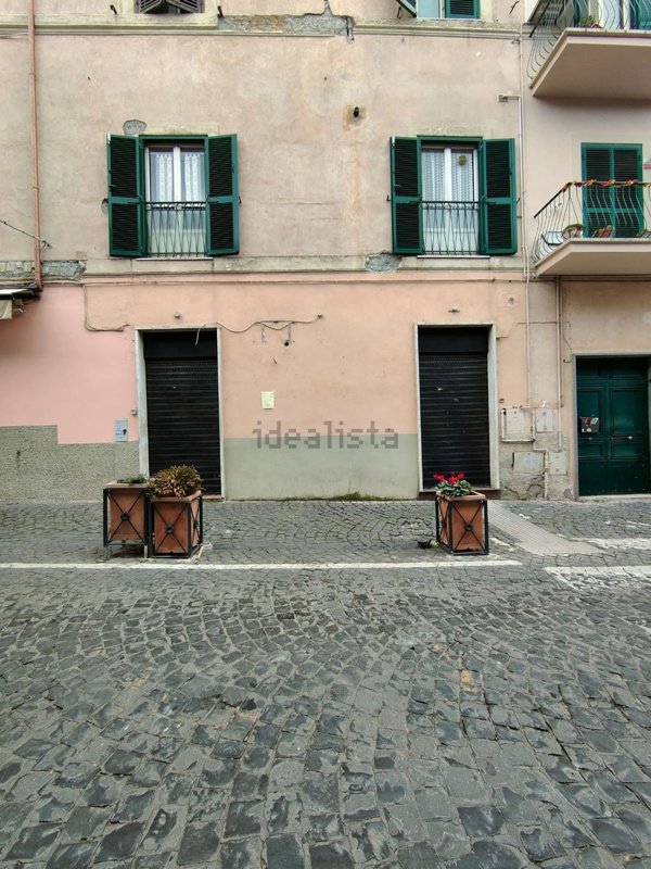 locale commerciale in affitto ad Albano Laziale