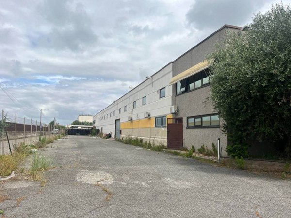 locale commerciale in affitto ad Albano Laziale in zona Pavona