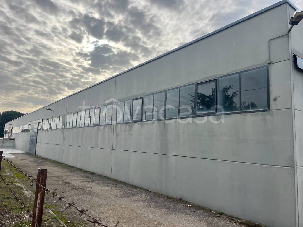 locale commerciale in affitto ad Albano Laziale in zona Cecchina