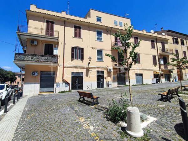 negozio in affitto ad Albano Laziale