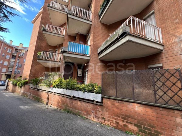 appartamento in affitto ad Albano Laziale