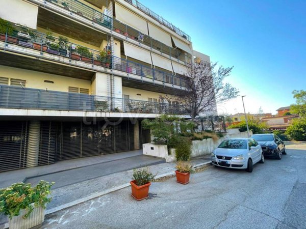 appartamento in affitto ad Albano Laziale