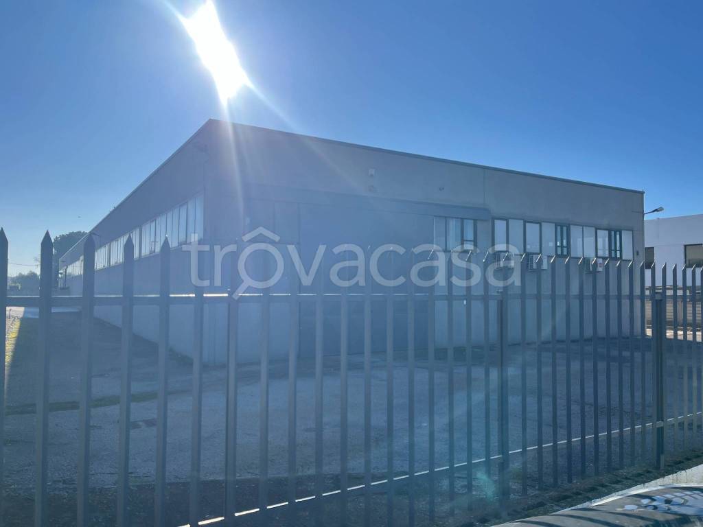 locale commerciale in affitto ad Albano Laziale in zona Cecchina
