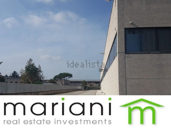 capannone in affitto ad Albano Laziale