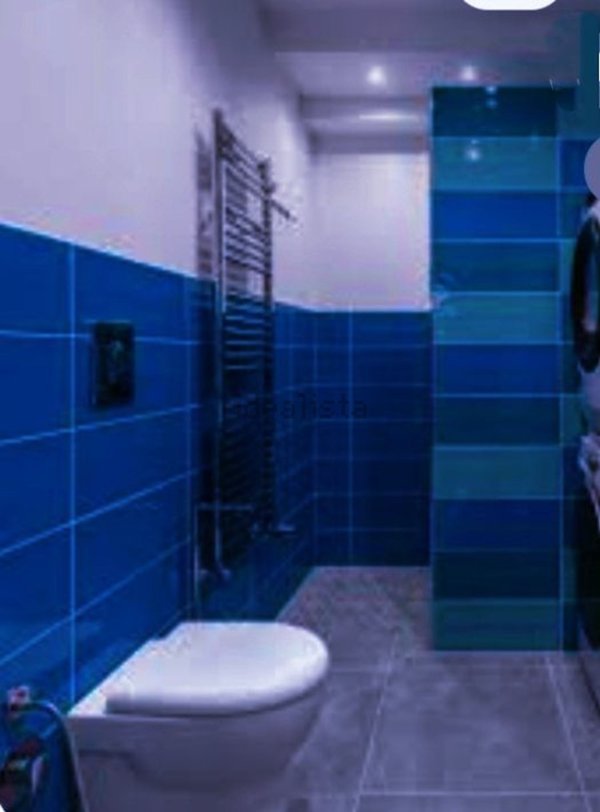 casa indipendente in affitto ad Albano Laziale