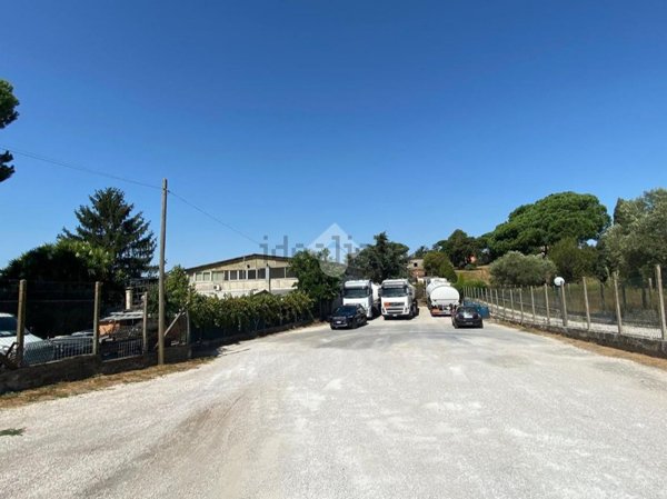 ufficio in affitto ad Albano Laziale