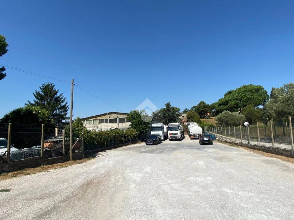 negozio in affitto ad Albano Laziale in zona Pavona