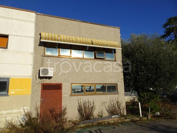 locale commerciale in affitto ad Albano Laziale in zona Cecchina