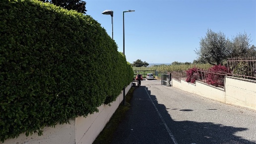 casa indipendente in affitto ad Albano Laziale