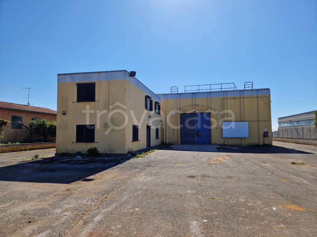 negozio in affitto ad Albano Laziale in zona Cecchina